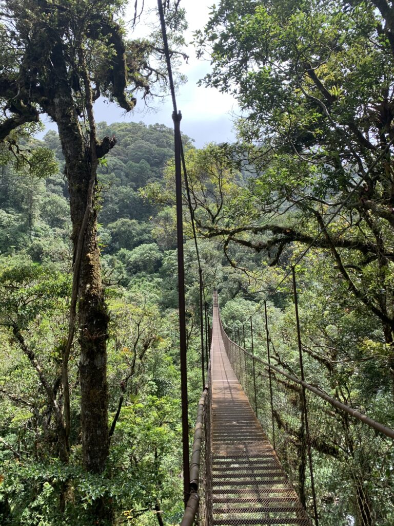 Hängebrücke im Nebelwald von Boquete in Panama Hochzeitsreise