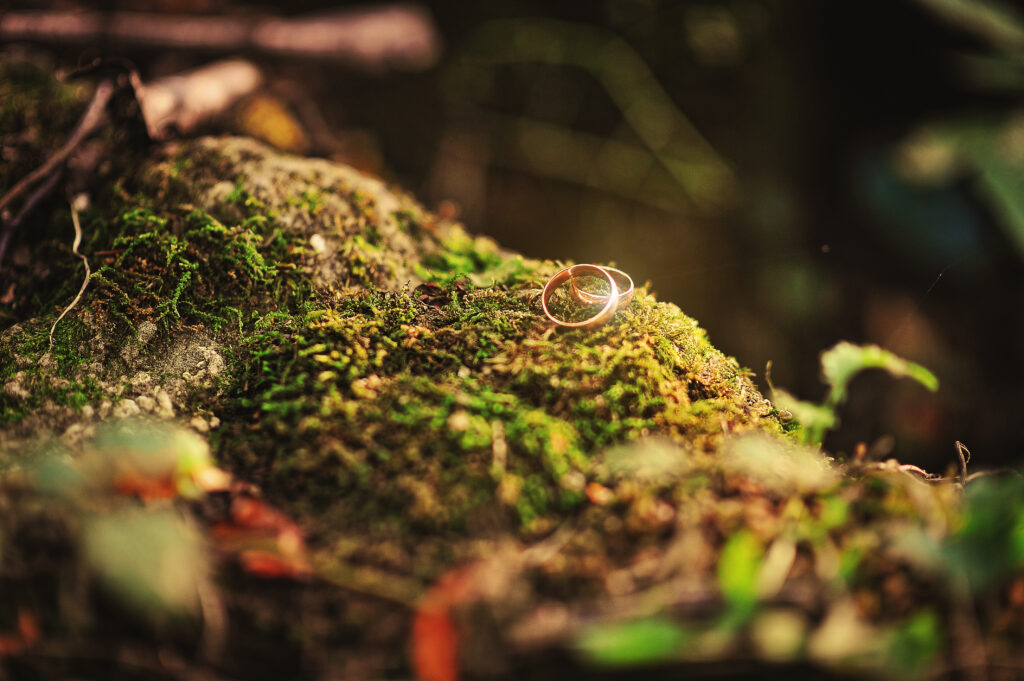 Eheringe liegen im Moos bei Hochzeit im Wald