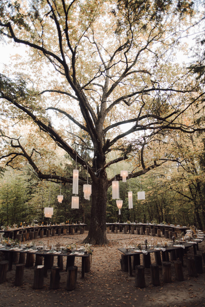 Ökologische Hochzeitslocation im Wald
